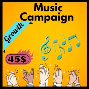 Get Artists Safe Plays, Growth Plan